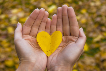 Autumn leaf in hands in the form of heart.