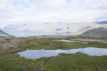 Naklejka na ściany i meble Landschaft in den Westfjorden, Island