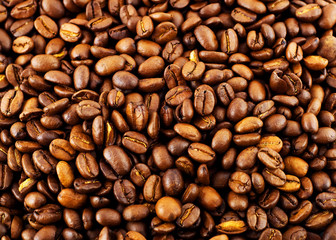 coffee bean black