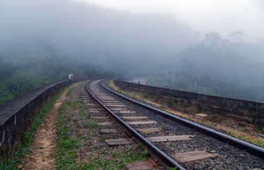 Fototapeta na wymiar Railway forest in mist, Ella, Sri Lanka