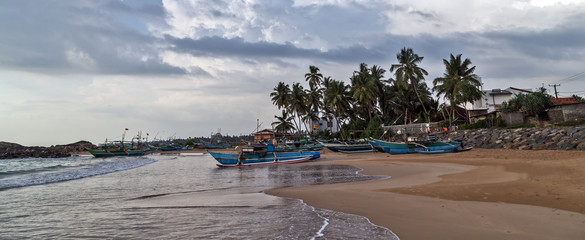 Fototapeta premium sri lanka fishing catamarans, fish boats