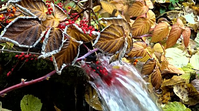 autumn waterfall