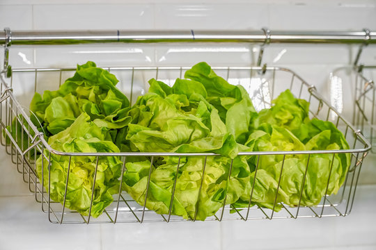 Vegetable Salad in basket