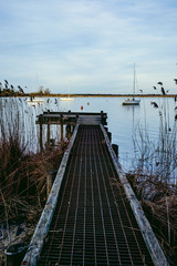 Fototapeta premium Ponton sauvage