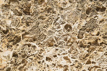 Rustic stone surface
