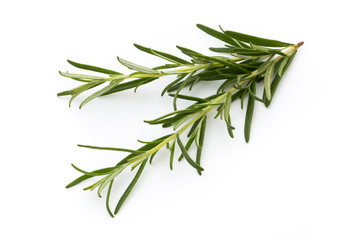 Fototapeta premium Rosemary isolated on white background, Top view.