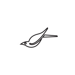 Obraz premium bird logo