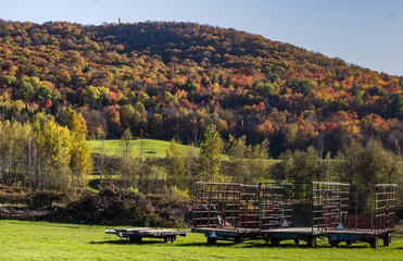 a landscape of  trees with bright autumn fall foliage colors  with farm wagons lined up and green grass 

