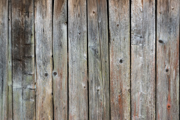 Texture of wooden background, traces of damage by bark worms. Ukraine