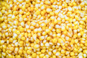 Close-up of tinned sweetcorn from above
