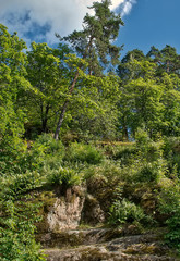 View of trees growing on rocks