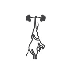 elephant gym logo