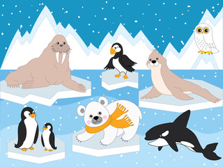 Vector Set of Arctic Animals and Birds