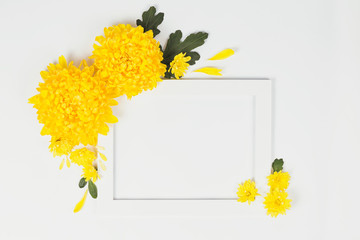 White border with yellow chrysanthemums daisy flowers on white background.