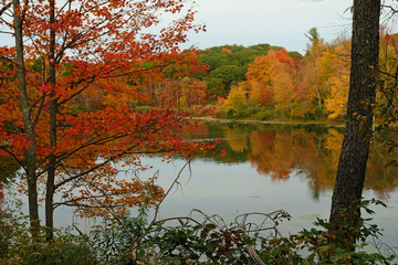 Fall colors on the lake with reflection 8