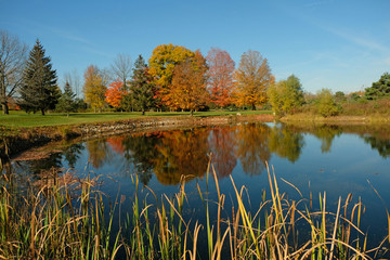 Fall colors reflection on pond with grass in foreground