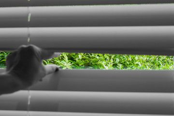 Ecology Concept : Abstract image natural view from woman hand taking a peak through the window blinds.