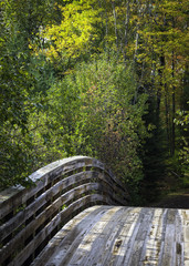 A wooden bridge over a small stream invites hikers to enjoy the autumn colors of norther Wisconsin on a crisp October morning.