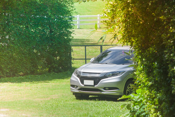 Car parked on green grass surrouned with green trees beside outdoor garden.