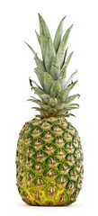 Pineapple © CYH