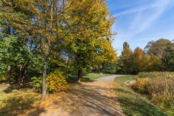 Amazing Autumn landscape with Yellow trees in South Park in city of Sofia, Bulgaria