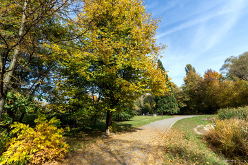Amazing Autumn landscape with Yellow trees in South Park in city of Sofia, Bulgaria