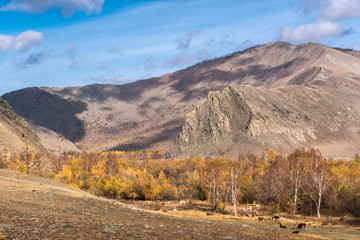 View of Sarma Gorge near Lake Baikal