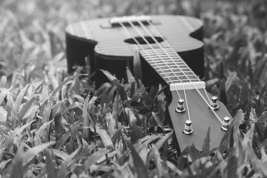 Abstract black and white image close up of musical instrument ukulele guitar on green grass. (Selective focus)