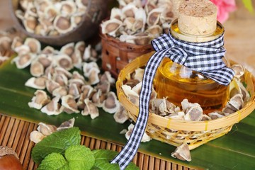 Moringa oleifera oil and seeds on wood background