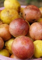 Passion fruit is delicious at street food