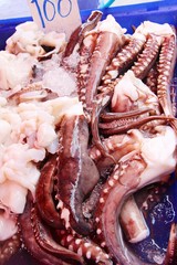 Fresh squid for cooking in the market