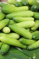 Fresh cucumbers for cooking in the market