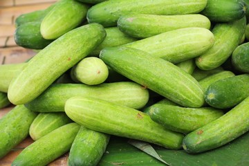 Fresh cucumbers for cooking in the market