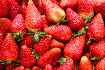 Fresh Strawberries