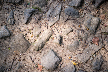 path of gray stones on the ground. texture, background.