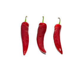 hot red chili pepper isolated on white background. food, object.