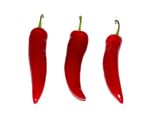 hot red chili pepper isolated on white background. food, object.
