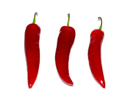 hot red chili pepper isolated on white background. food, object.