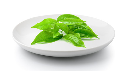 tea leaf in a plate isolated on a white background