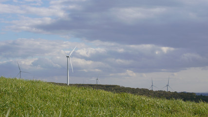 草原と風車