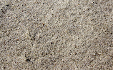 Brudny piasek na podwórku - obrazy, fototapety, plakaty
