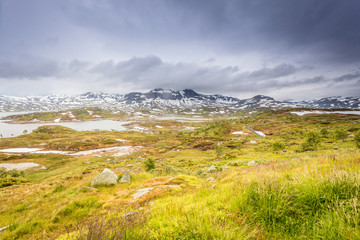 Fototapeta na wymiar Hardangervidda mountain plateau in Norway