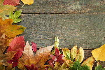 Naklejka na ściany i meble Autumn leafs on wooden table