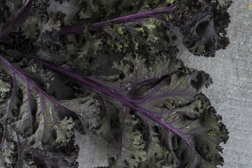 Purple Kale