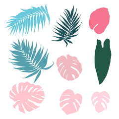 Fototapeta na wymiar Tropical plant elements set isolated on white background. Collection of exotic rainforest jungle palm tree and monstera leaves. Hand drawn reusable vector design items. Various shapes.