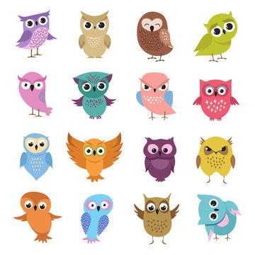 Cute cartoon owls. Funny forest birds vector collection