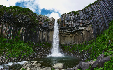 Svartifoss waterfall surrounded by basalt columns in the south of Iceland. Skaftafell national park...