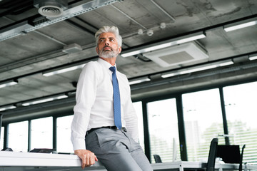 Fototapeta na wymiar Mature businessman with gray hair in the office.