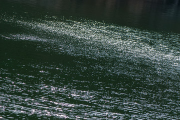 waves and reflection