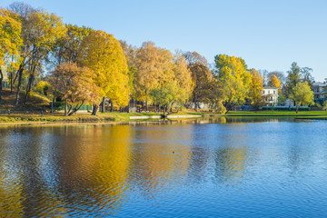 Fototapeta na wymiar Pond in Riga, district agenskalsns. Autumn, yellow tree leaves, lake and reflection. 2017